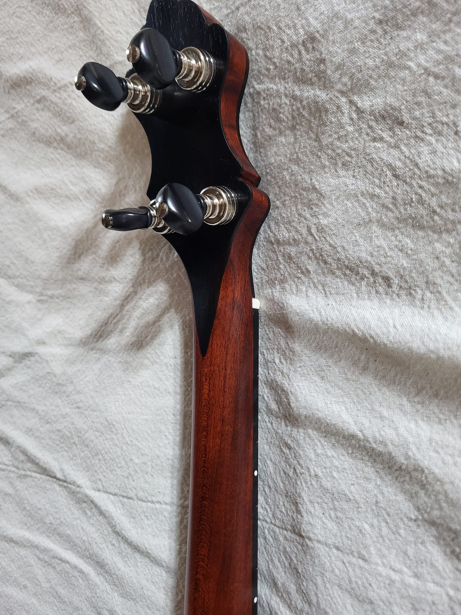 Second Life Banjo